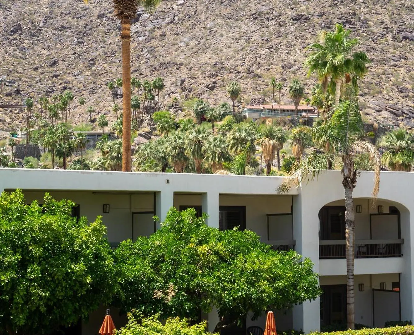 Palm Mountain Resort y Spa Palm Springs Hotel